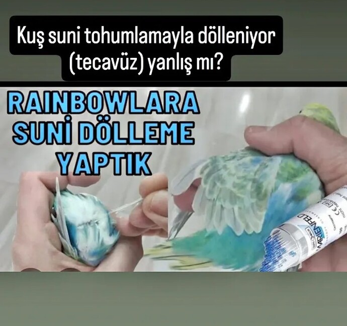 Süt alıyorsunuz hayvanlara tecavüz ediliyor cins hayvan alıyorlar hayvanlara tecavüz ediliyor sizce bu doğru bişeymi buna karşıçık?