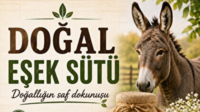 Keçi sütü mü yoksa, eşek sütü mü tercih edersin?
