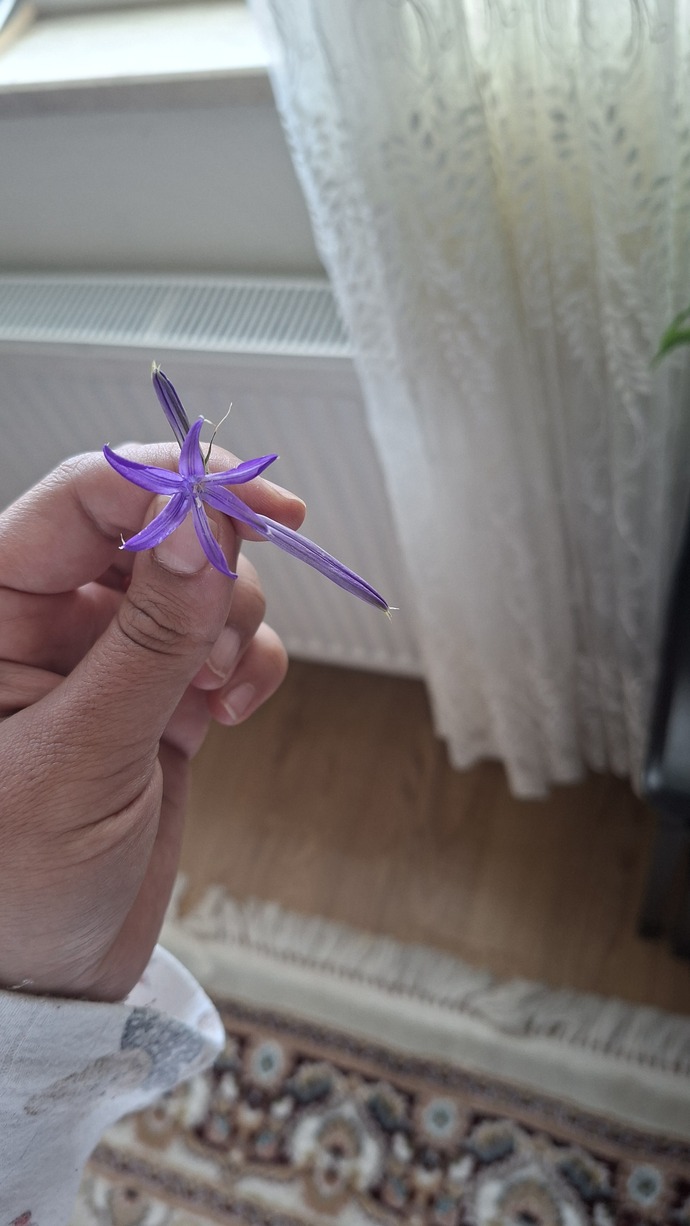 Mutlu olmak kolay mı sizce?