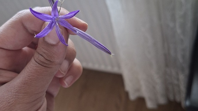 Mutlu olmak kolay mı sizce?