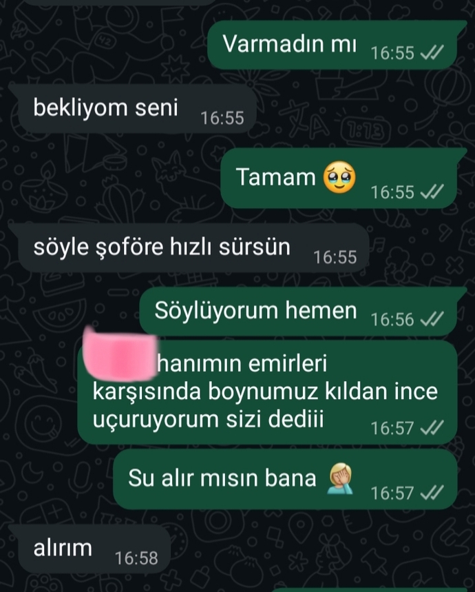 Hızlı sürsün shdhjfg