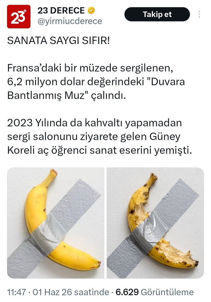 Fransadaki Centre Pom pidou-Metz Müzesinde sergilenen duvara bağlı muz için bu kadar olay çıkarılması normal mi?