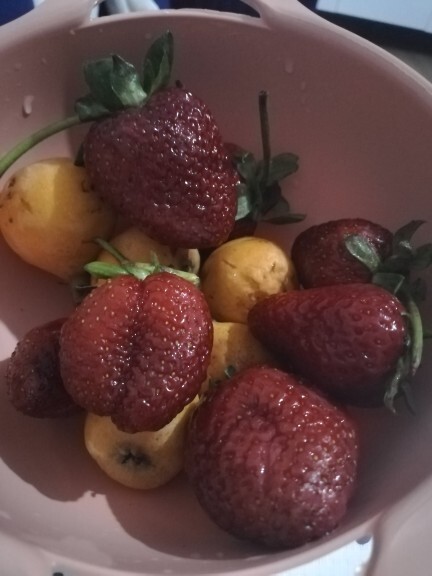Çilek sever misiniz? Sizce bu çilekler hormonlu mu?
