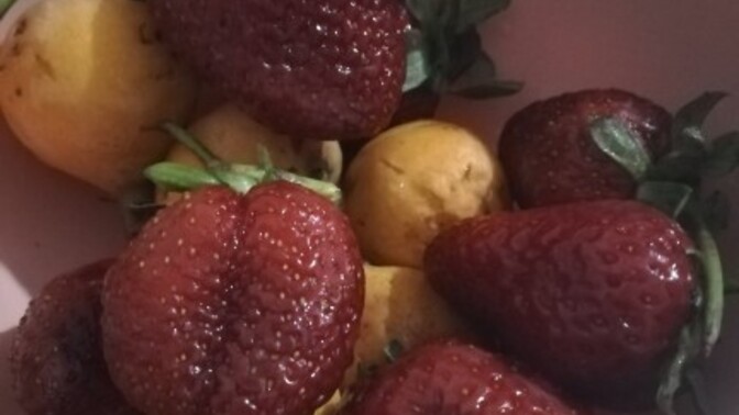 Çilek sever misiniz? Sizce bu çilekler hormonlu mu?