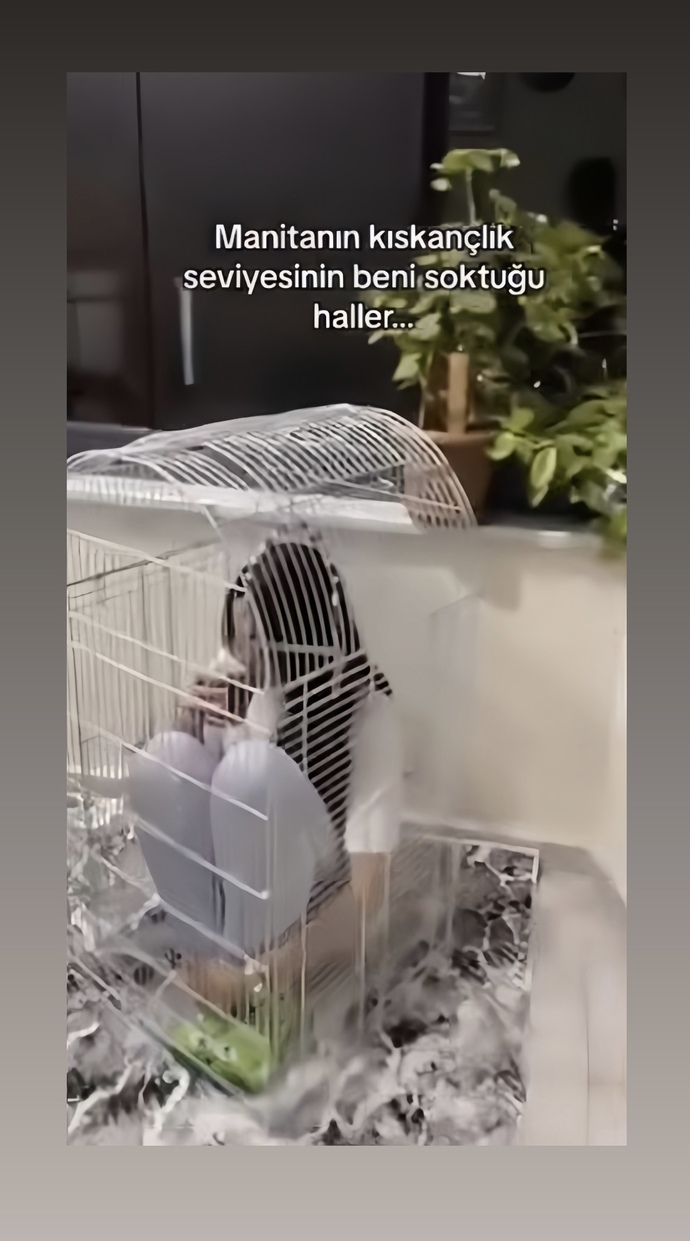 Kıskançlığın en tehlikeli hali sizce hangi tarafta ortaya çıkar: Kadında mı, erkekte mi?