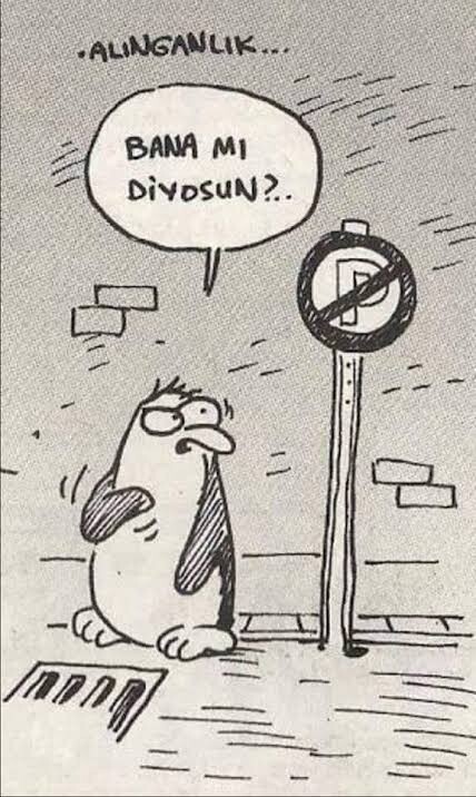 Alıngan mısınızdır?