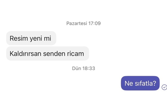 Sevgiliniz eski sevgilisine görseldeki gibi bir mesaj atsa ne yaparsınız?