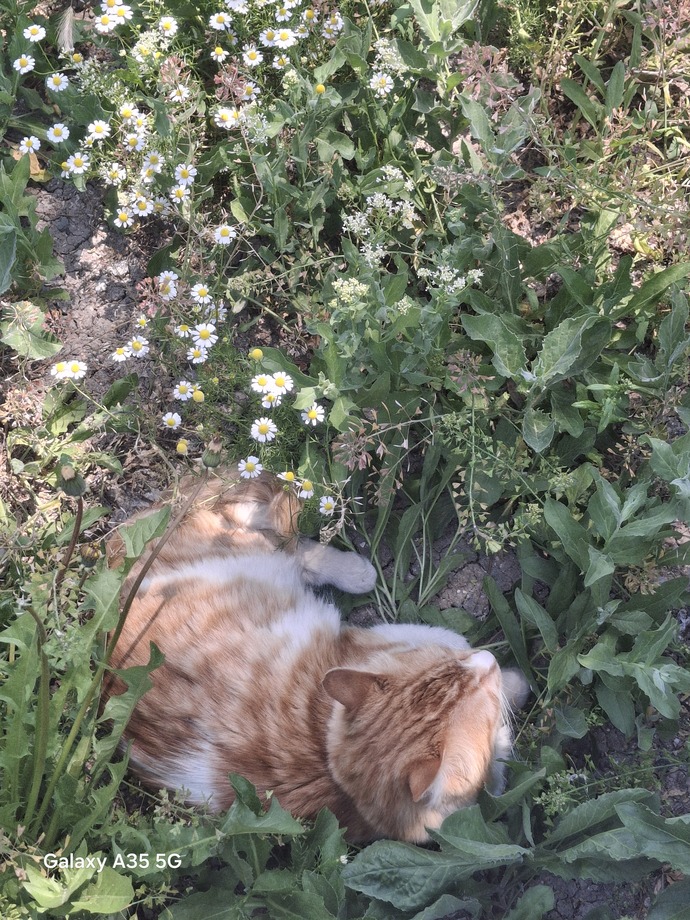 Güzel bir şey gördüğünüz de onu ölümsüzleştirir misiniz?