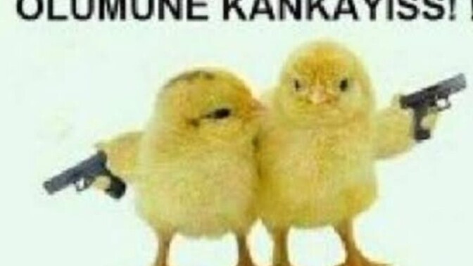 Sitede kankanız var mı?