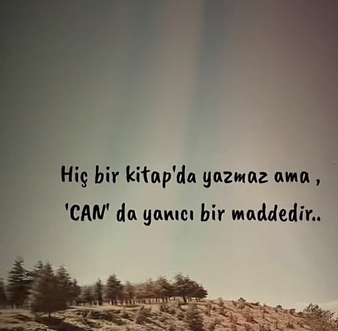 Sizin kitabınız da ne yazmaz?
