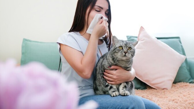 Herhangi bir alerjiniz var mı 🙃?