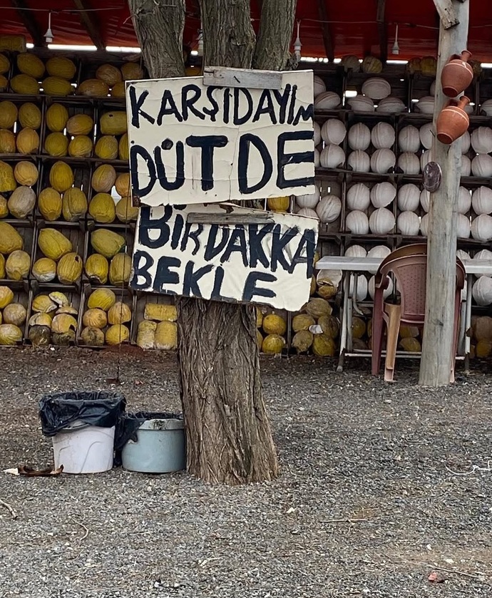 Yarım kalmış bir esneme mi olmak isterdin yoksa hapşıracakken tam o anda kaçan o hapşırık mı?