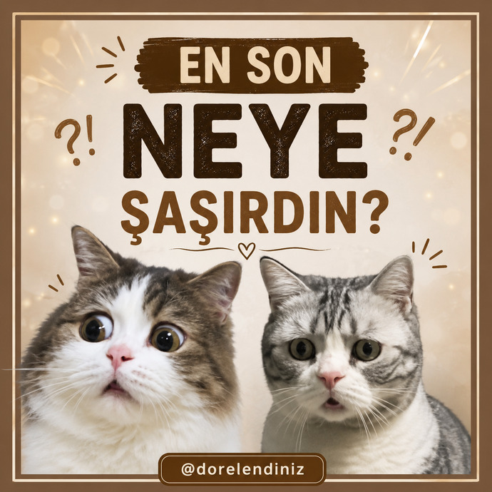 En son neye şaşırdın?