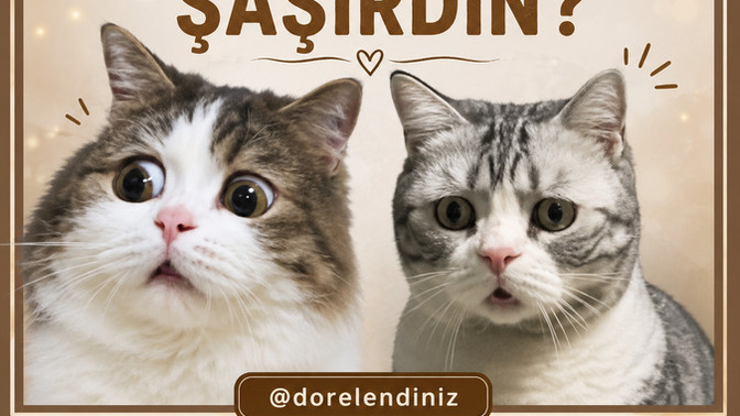 En son neye şaşırdın?