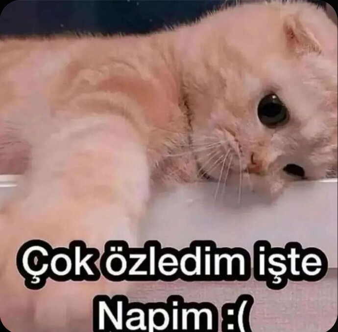 Eski sevgiliniz “çok özledim” diye bir mesaj atarsa tepkiniz ne olur?