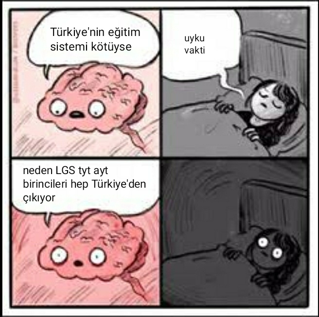 Sizce Türkiye’de Üniversiteler Eğitim Kurumu mu, Diploma Fabrikası mı?
