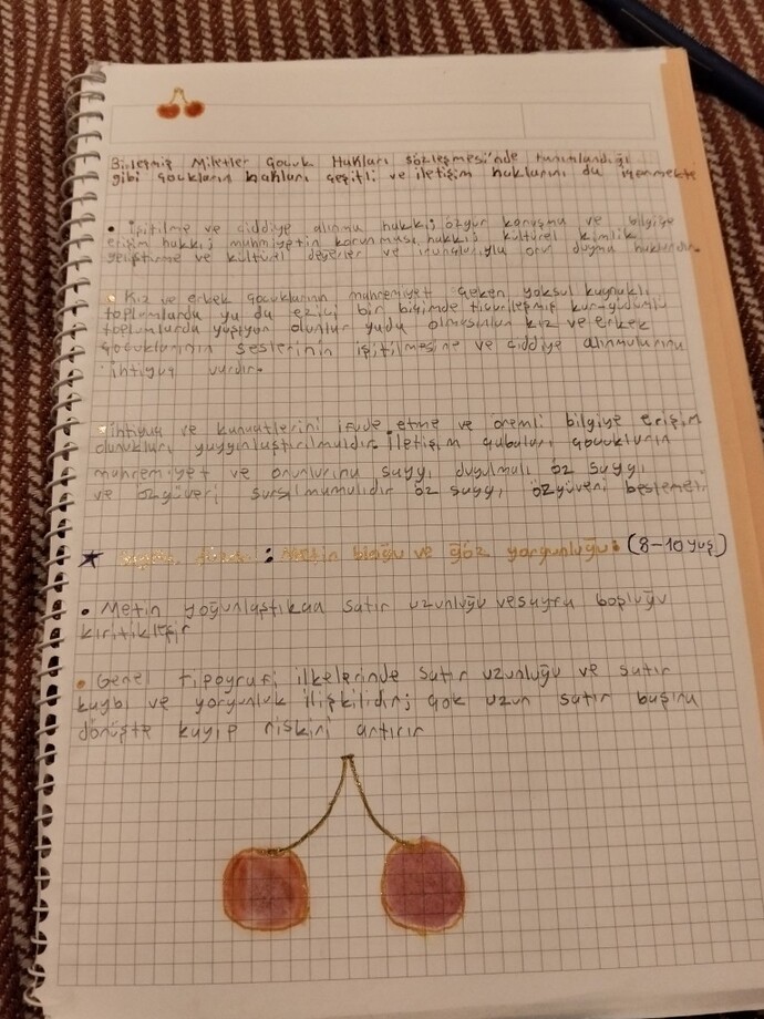 Siz nasıl ders notları alıyorsunuz, etkili ve düzenli not tutma taktikleriniz neler?