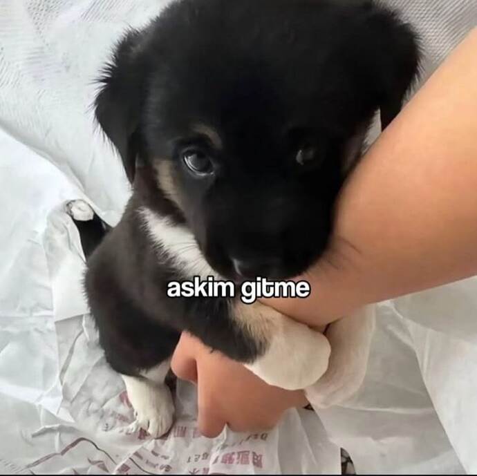 Geceye veda edemediğin ne var?
