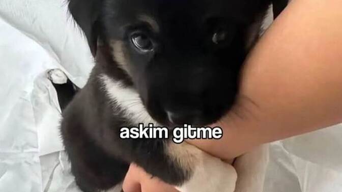 Geceye veda edemediğin ne var?