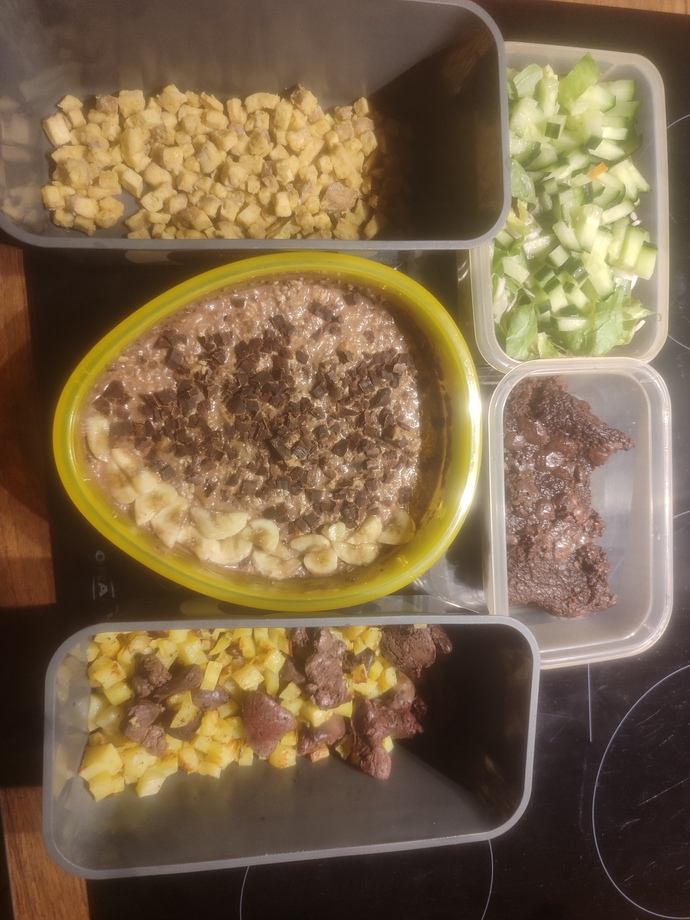 Bir iş günüm için hazırladığım 1400 kalorilik 100 gram proteinli öğünler sizce nasıl?