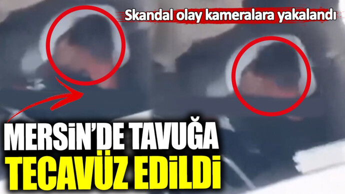 Mersinde tavuğa tecavüz edildi. Erkekler iyice yoldan çıktı mı?