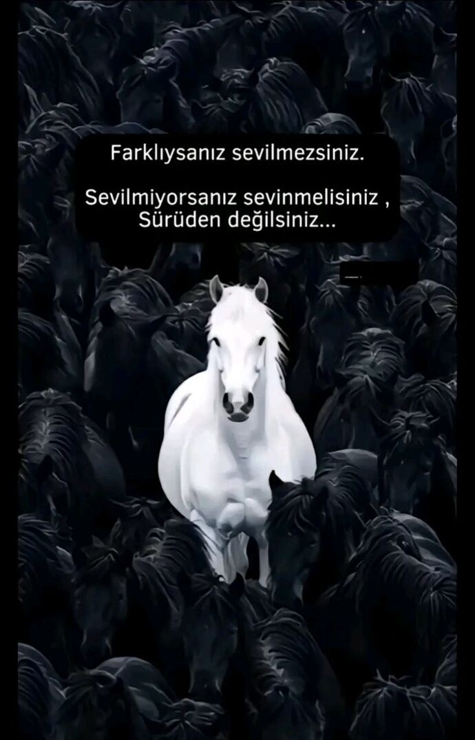 Geçmişteki bir ilişkin veya hayat tecrüben olmasaydı, şu an aşka bakışın nasıl farklı olurdu?