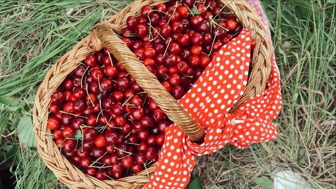 Kiraz seviyormusun🍒?