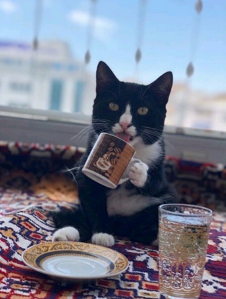 Özlediğiniz bir an var mı?
