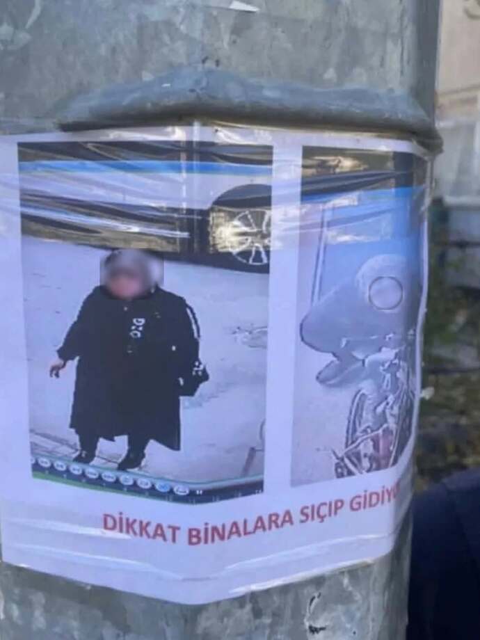 Kötü kaynana mı olmak isterdin yoksa, yılan görümce mi?
