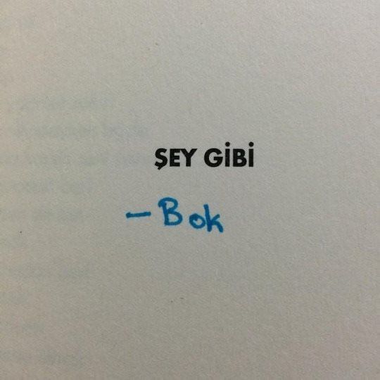 Eleştirmeyi sever misiniz?