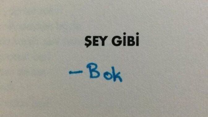 Eleştirmeyi sever misiniz?