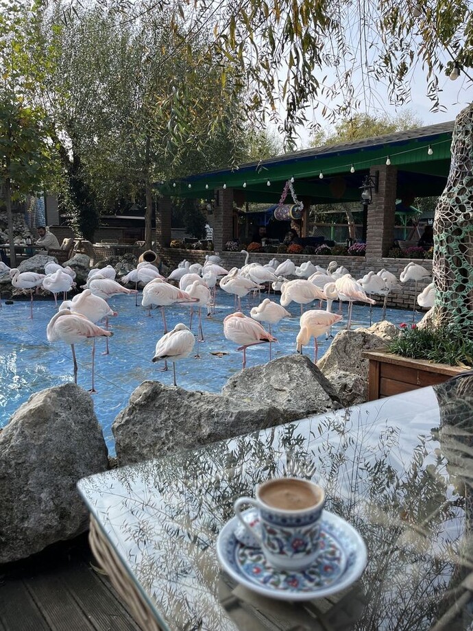 Sevgiliniz ile gitmek istediğiniz yerler var mı?