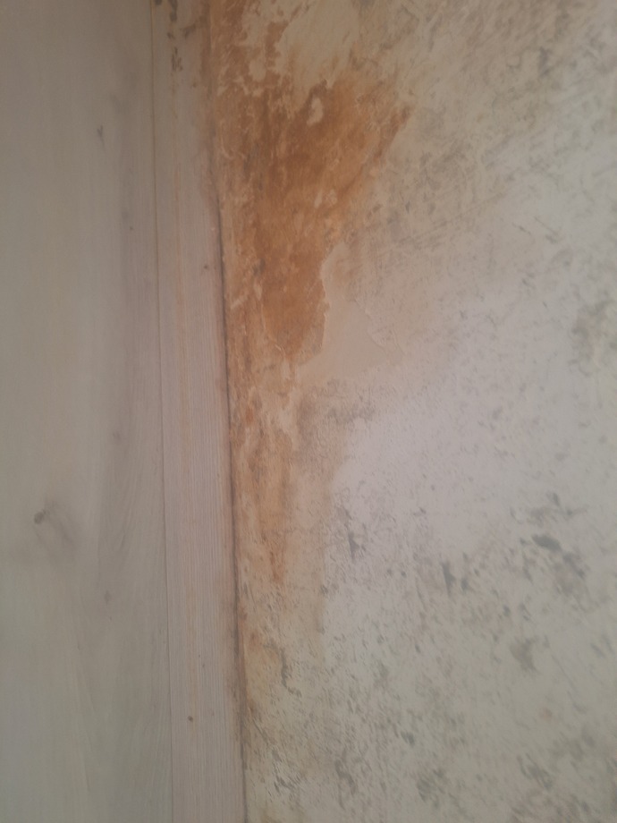 Ev sahibi rutubetli kapıcı dairesini normal daire diye kiralarsa icra iptal olur mu?