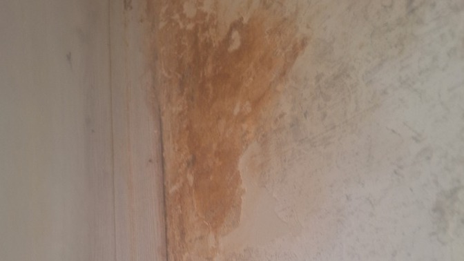 Ev sahibi rutubetli kapıcı dairesini normal daire diye kiralarsa icra iptal olur mu?