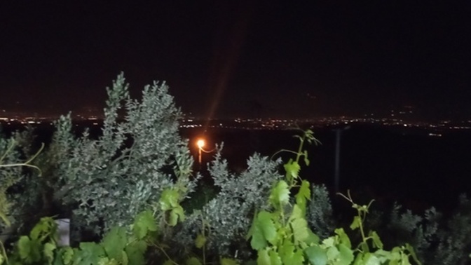 Bağ-bahçe ya da  ormanda kalmaktan korkar mısınız?