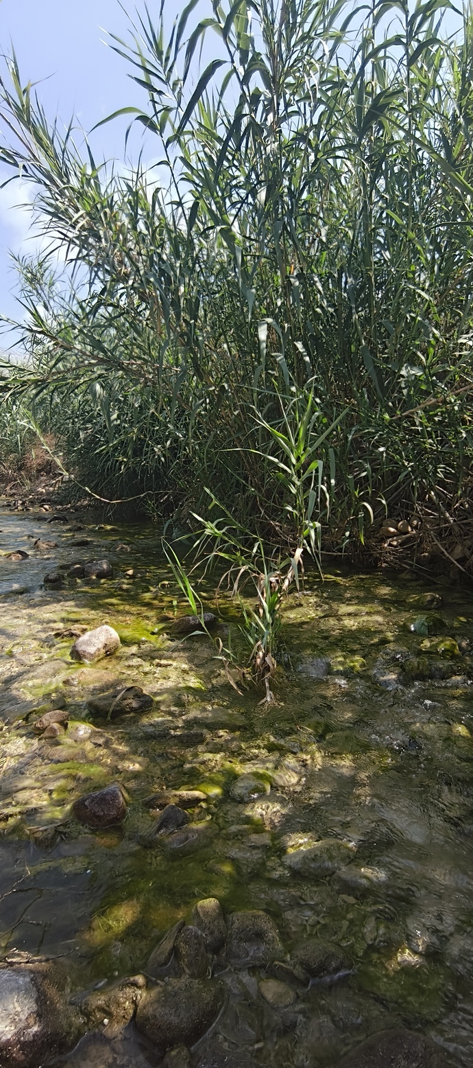 Dağa çıkınca her tarafım kelebek oluyor, siz de doğada böyle huzur buluyor musunuz?