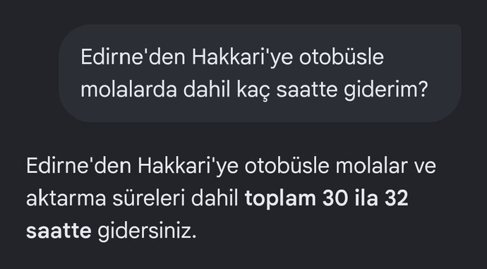 32 saat Edirneden Hakkariye otobüsle gidebilir misin?