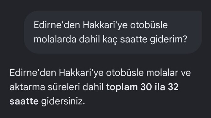 32 saat Edirne'den Hakkari'ye otobüsle gidebilir misin?