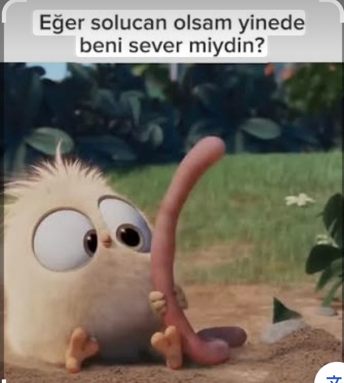 Biri sana ‘ben çirkin olsam’ dese ona ne cevap verirsin, nasıl tepki verirsin?