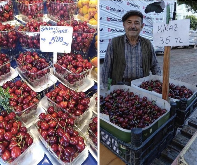 Tarlada 15₺ fiyat biçilen kiraz 🍒 İstanbul’da 600₺ bu ülkede devlet yok mu?
