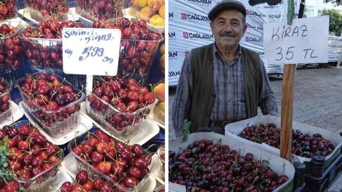 Tarlada 15₺ fiyat biçilen kiraz 🍒 İstanbul’da 600₺ bu ülkede devlet yok mu?