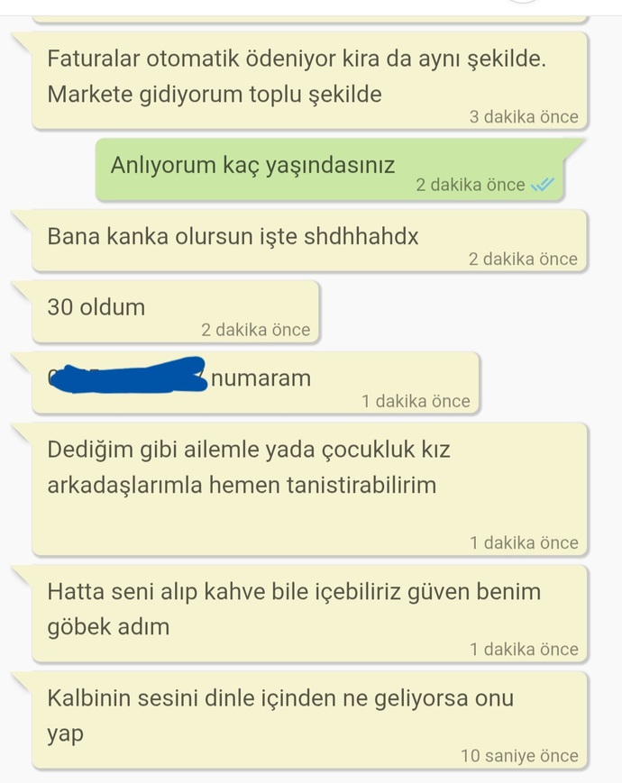 Ev arkadaşı kiraya karışmayıp sadece fatura istiyorsa bu dolandırıcılık mı, siz olsanız güvenir miydiniz?