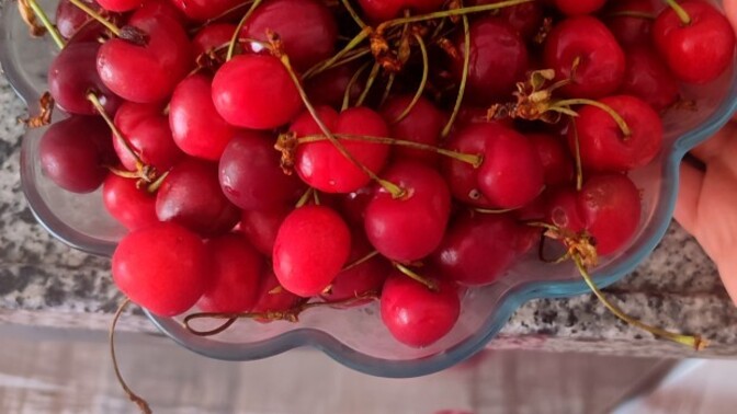 En sevdiğin yaz meyvesi hangisi, neden o meyveyi bu kadar seviyorsun?