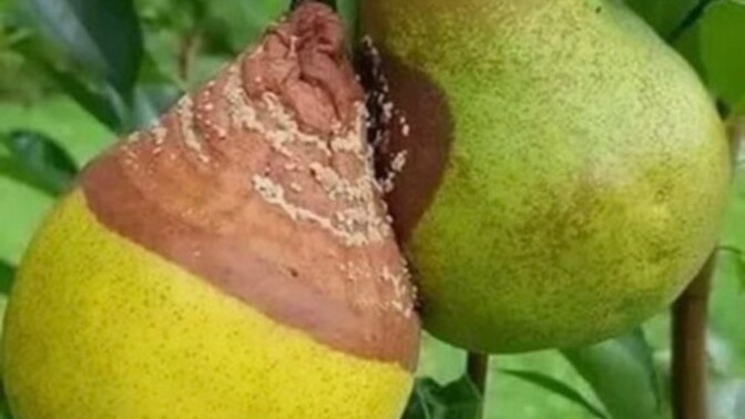 Gereksiz eleştiri gizli hayranlık mı?