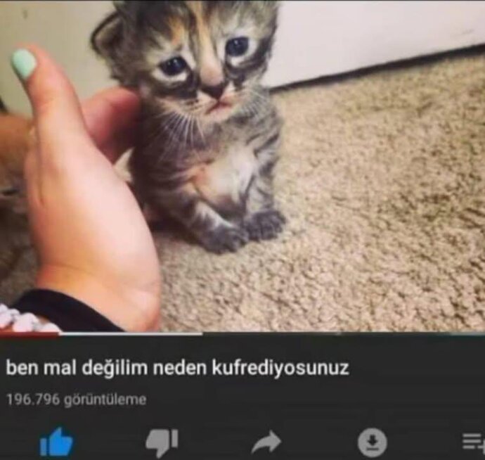 Herkes üniversitede kocasını/ karısını buldu biz nasıl bulacağız?