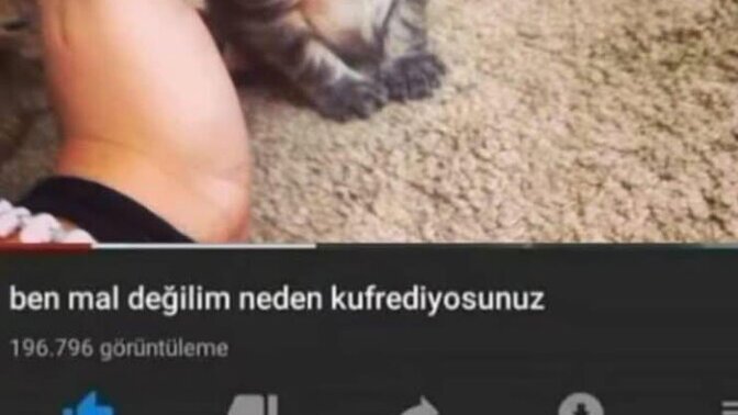 Herkes üniversitede kocasını/ karısını buldu biz nasıl bulacağız?
