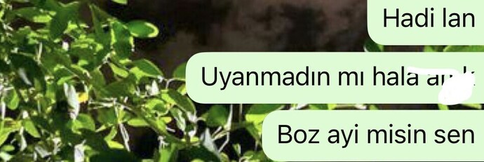 Son mektupta son mesajda ne söyledin, tam olarak ne yazdın?