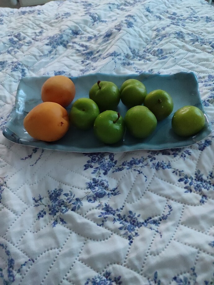 Meyve tüketirmisin?