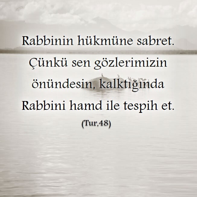 Güzel olmadan ve tanıdık olmadan düzgün iş bulmak imkansız. Zamanı gelmedi mi vazgeçmenin?