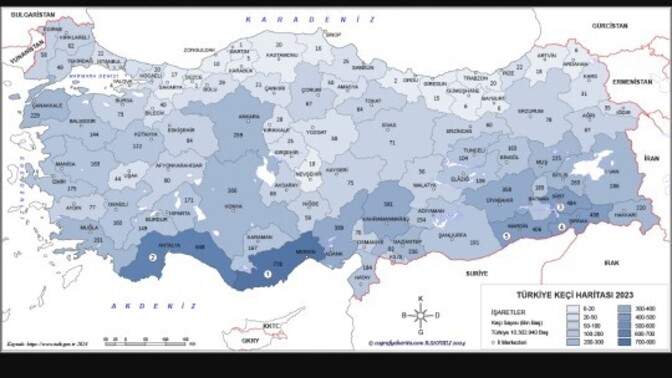 En inatçı insanlar hangi şehirde sizce?